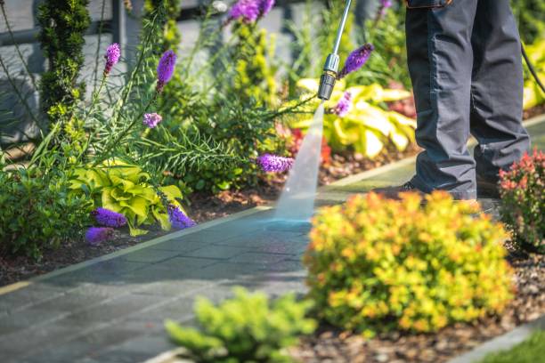 Best Post-Construction Pressure Washing  in Yucos, CA